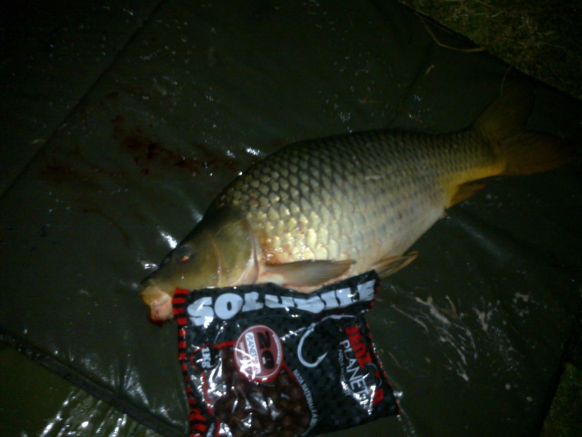 moara vlasiei 2012 - 15092013566.jpg